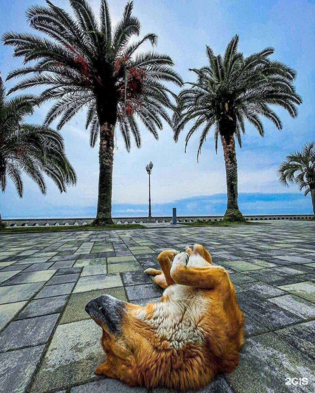 Отзывы на компанию Пегас Туристик в Оренбурге c фото