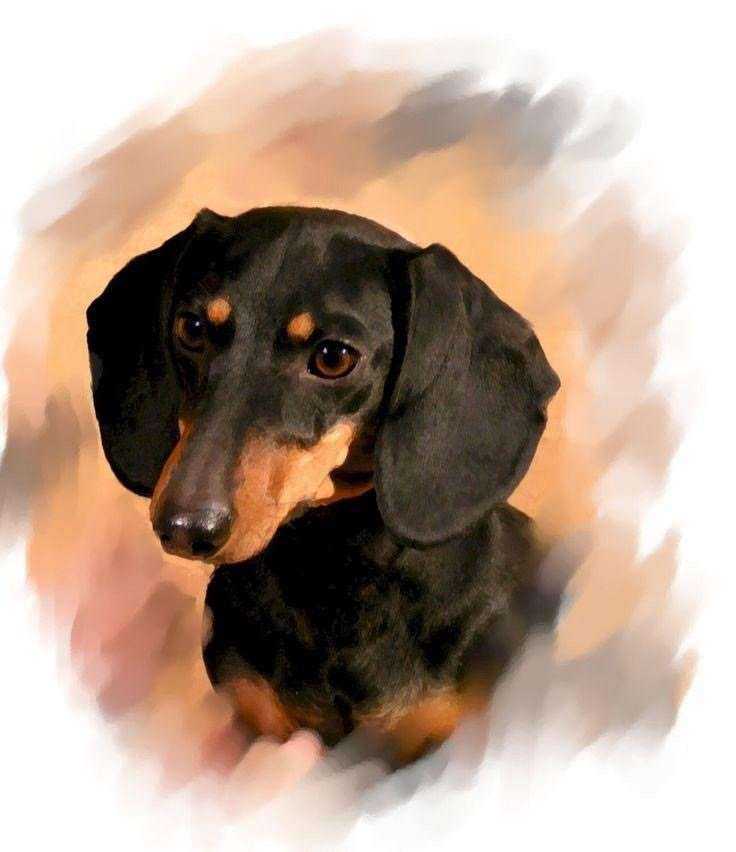 Отзывы на компанию Бетти в Туле c фото