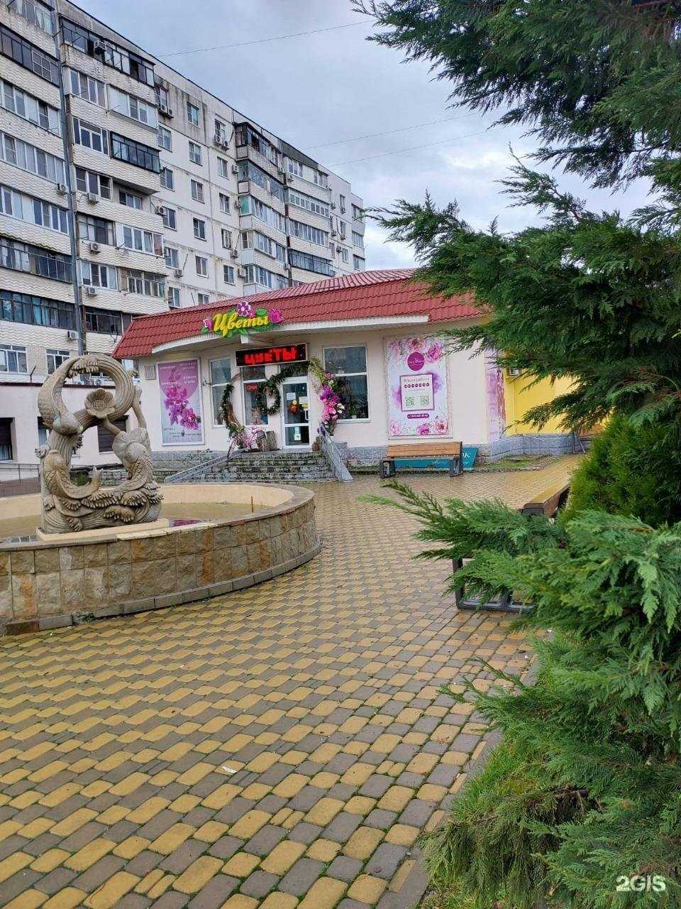 Отзывы на компанию Ralf Optica в Новороссийске c фото - фотография 2 из 2