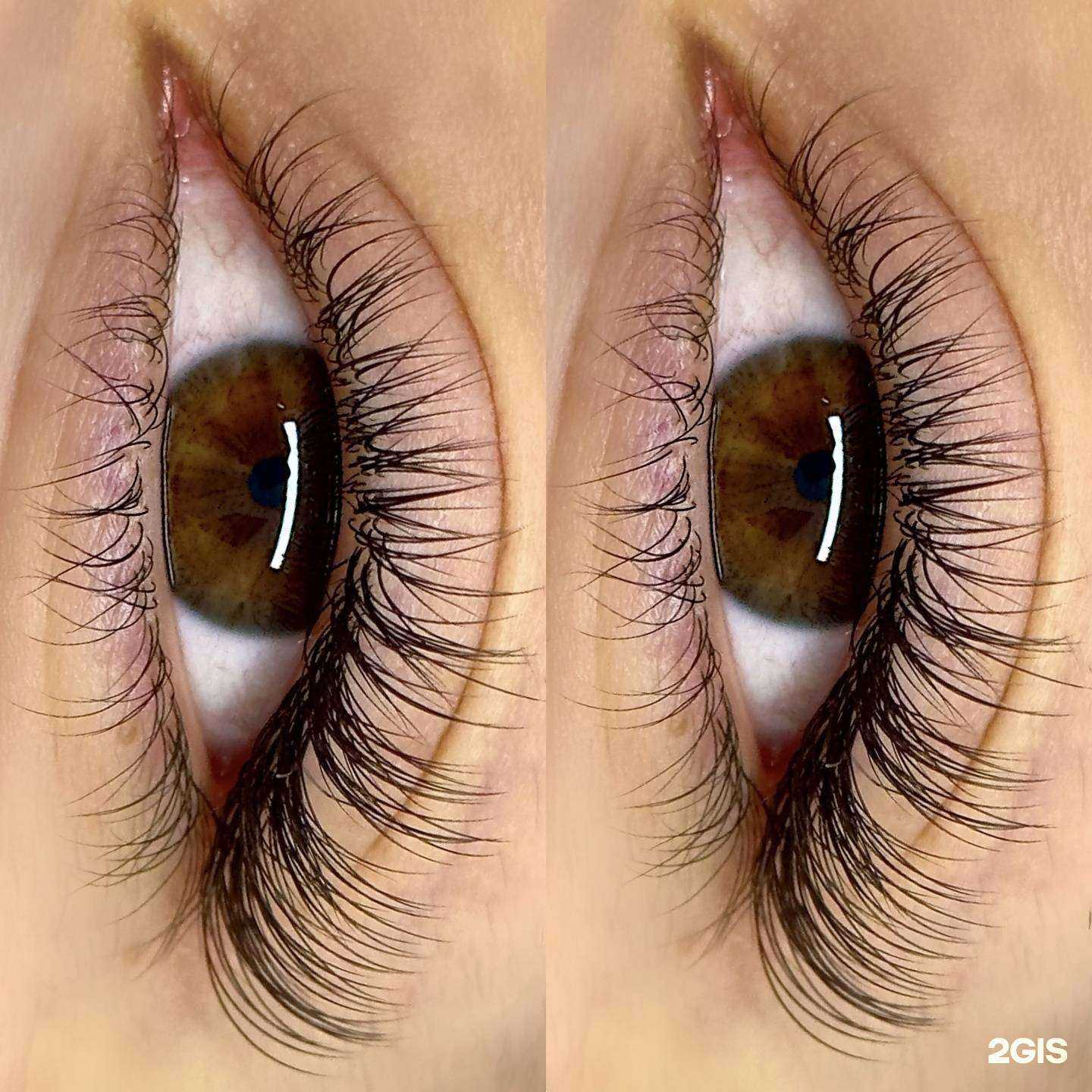 Отзывы на компанию М.Lash в г. Архангельск c фото