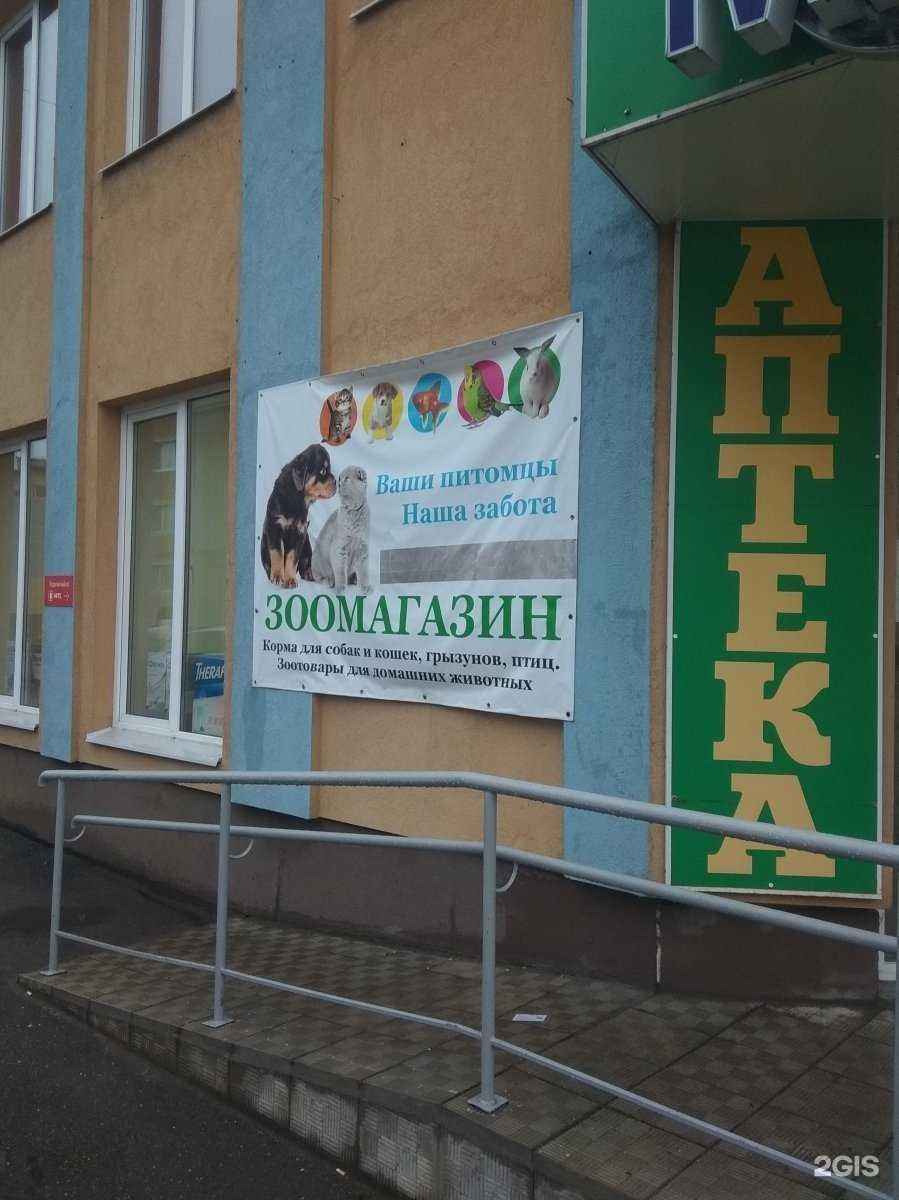 Отзывы на компанию Зоомагазин в Иванове c фото