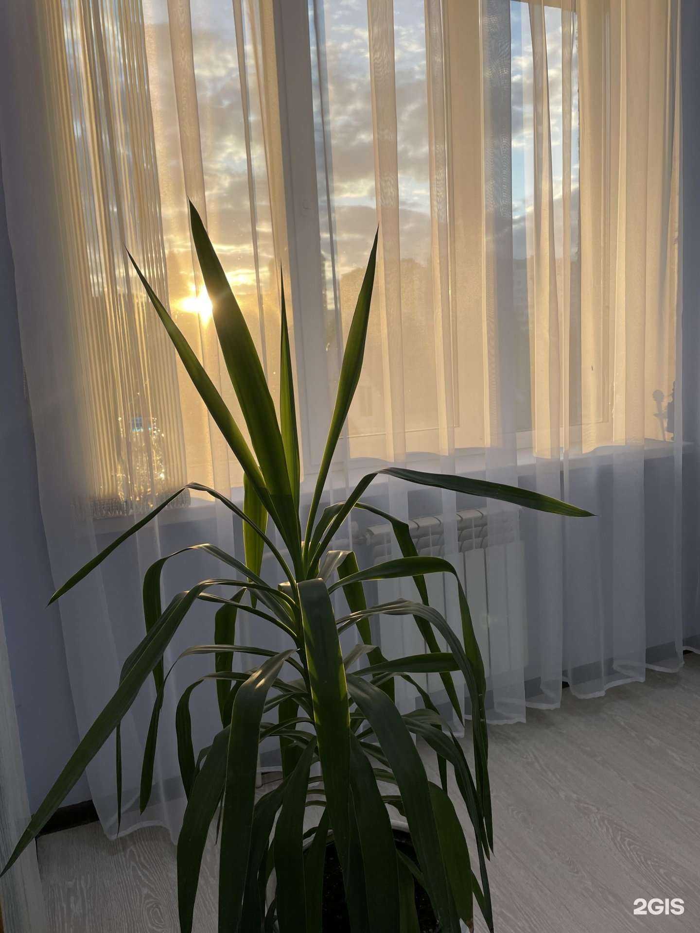 Отзывы на компанию Студия красоты в Уфе c фото