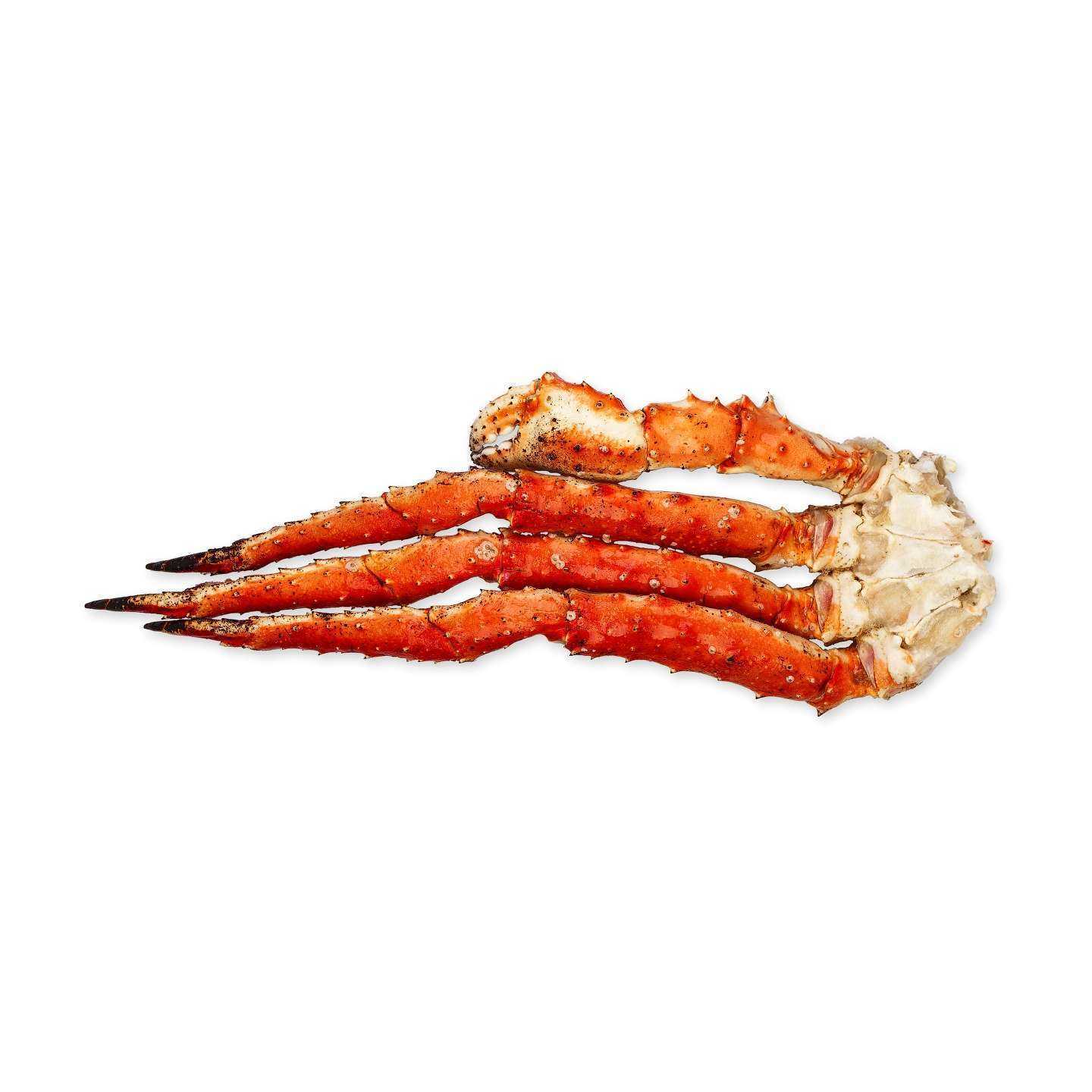 Отзывы на компанию Улов Викинга в Самаре c фото