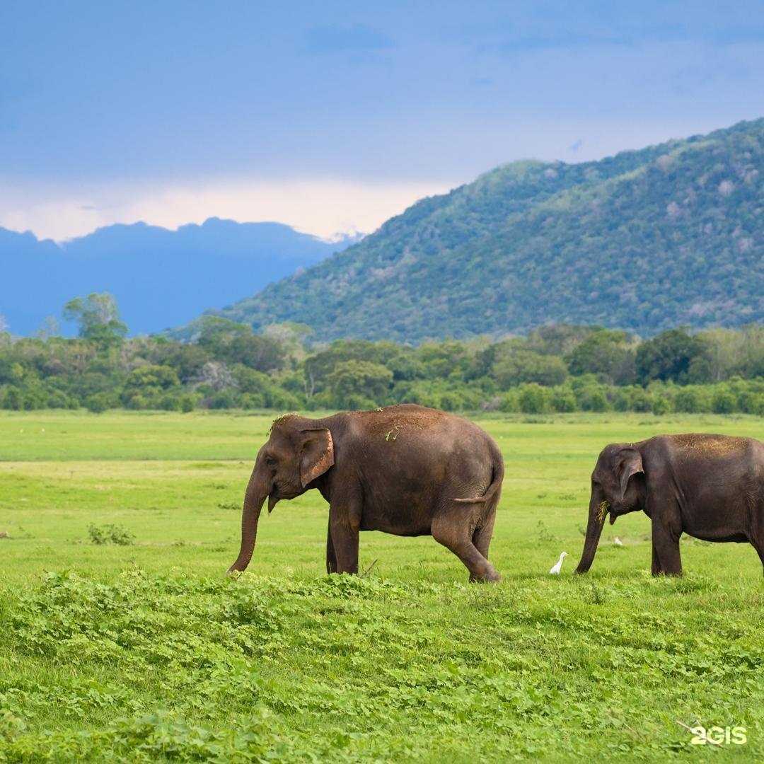 Отзывы на компанию Anex в г. Калининград c фото