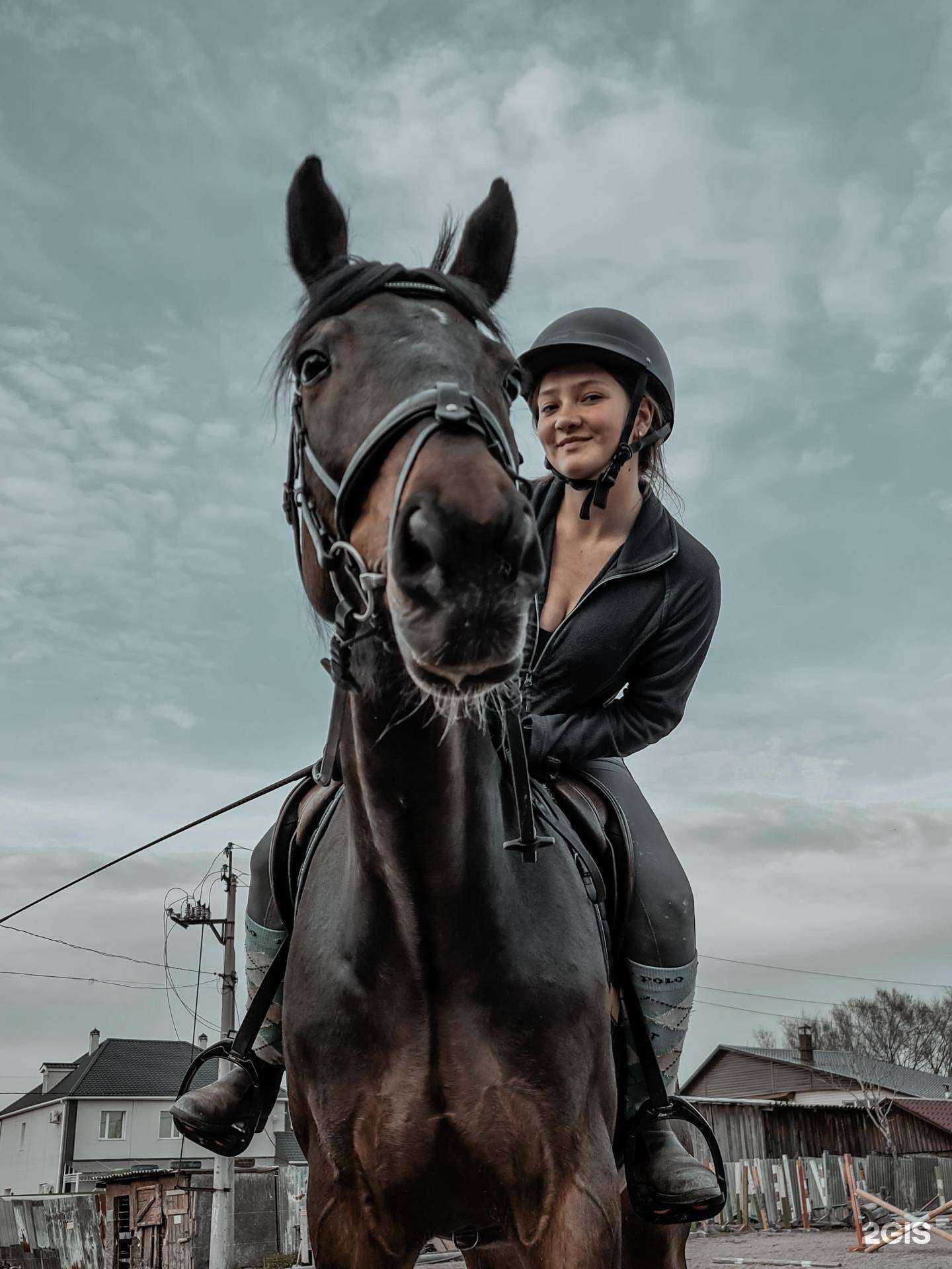 Отзывы на компанию Дельфин в Хабаровске c фото