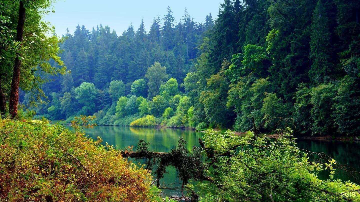 Отзывы на компанию Экологияразвитиябизнеса в г. Екатеринбург c фото