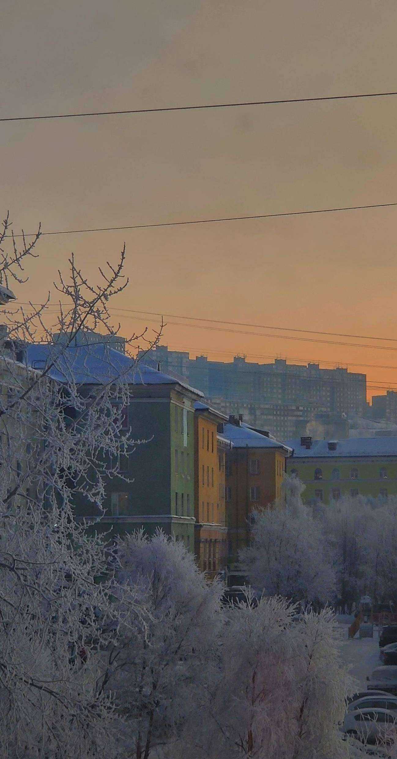 Отзывы на компанию Студия татуировки в Мурманске c фото - фотография 2 из 2