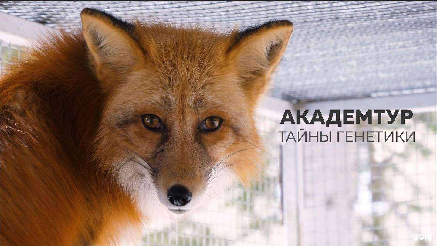 Отзывы на компанию Сибирское отделение РАН в Новосибирске c фото