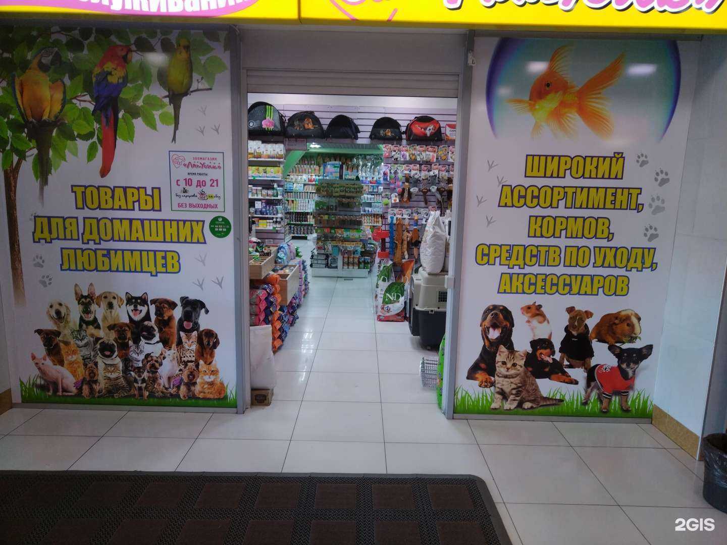 Отзывы на компанию Лапусик в г. Петропавловск-Камчатский c фото