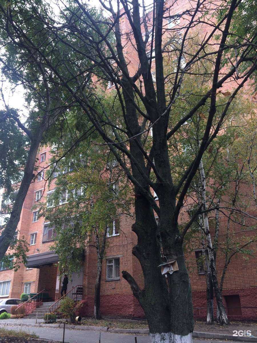 Отзывы на компанию Итальянское кафе в Курске c фото - фотография 2 из 2