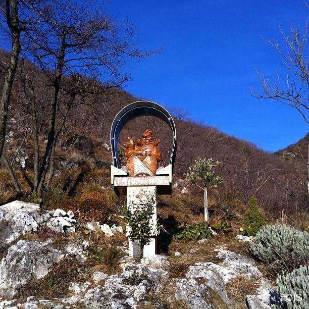 Отзывы на компанию Andrea Home в Липецке c фото