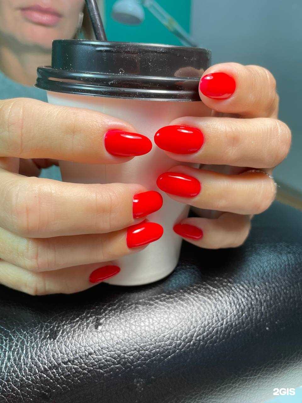 Отзывы на компанию Том и Джерри  в Сочи c фото