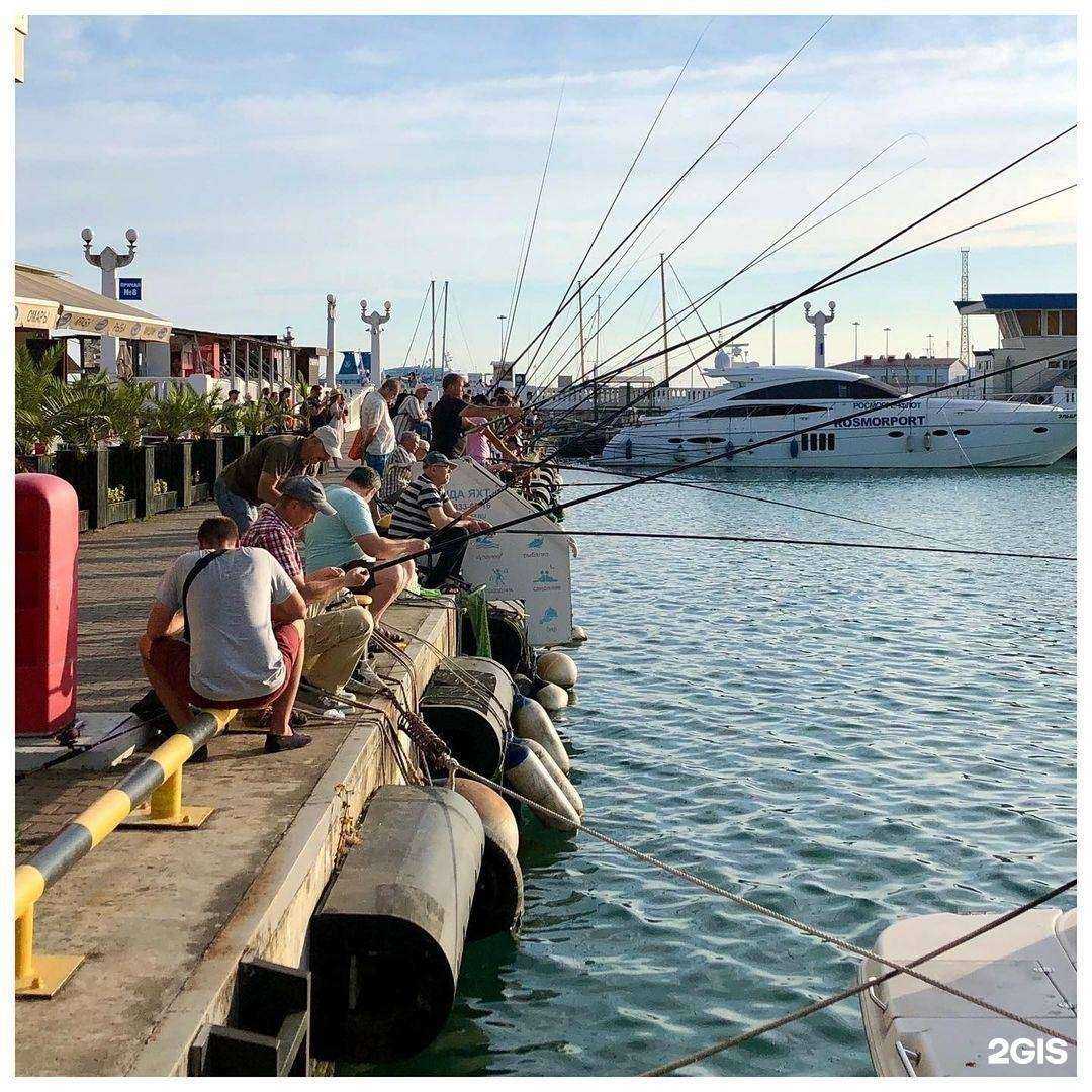 Отзывы на компанию Mediabook в Сочи c фото