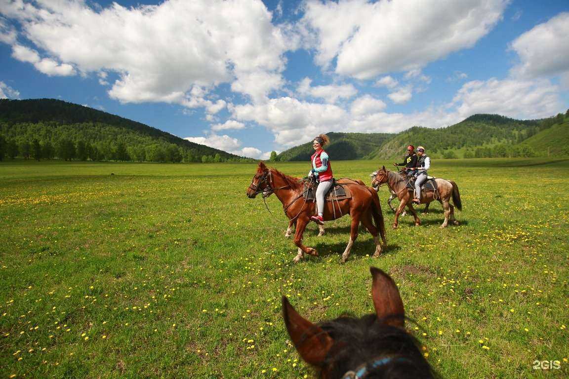 Отзывы на компанию Центр активного туризма в г. Новосибирск c фото
