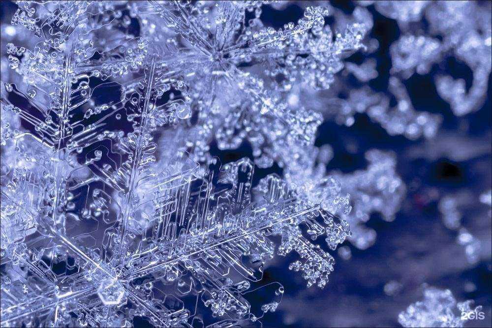 Отзывы на компанию Дельта Сибирь в Красноярске c фото