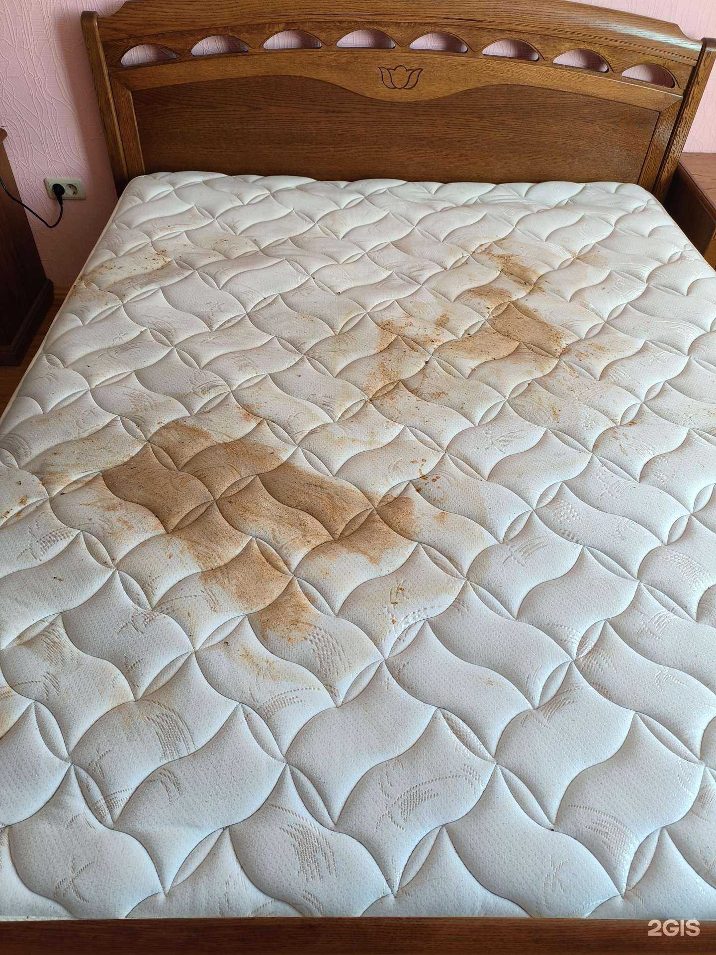 Отзывы на компанию Sb cleaning в г. Краснодар c фото