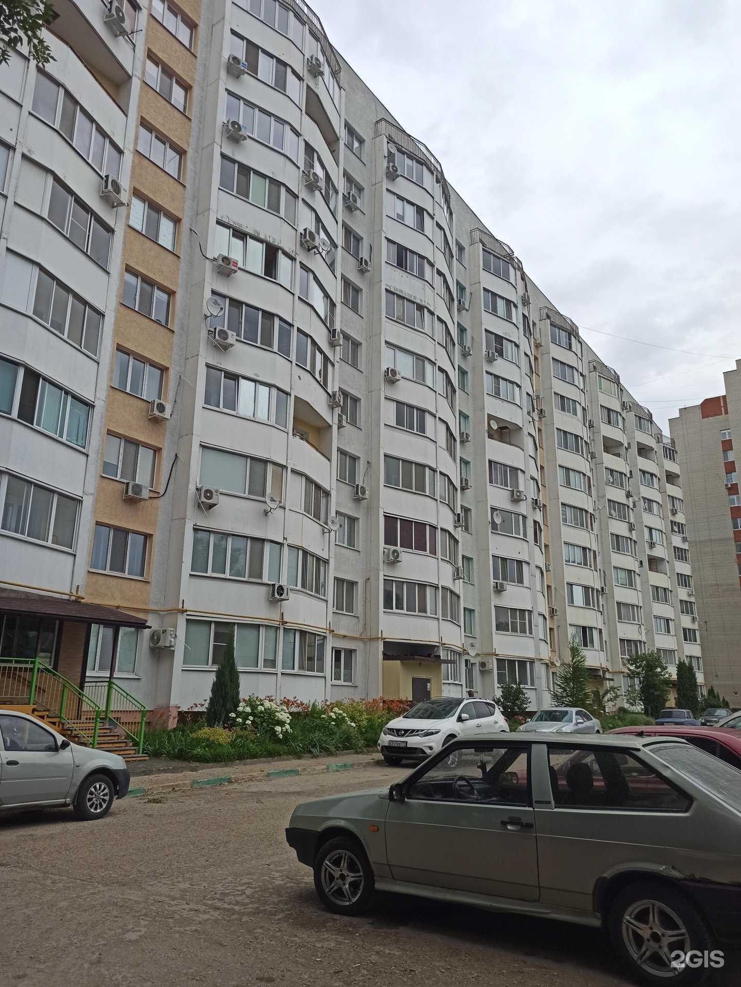 Отзывы на компанию Веселый медвежонок в Балакове c фото - фотография 2 из 2