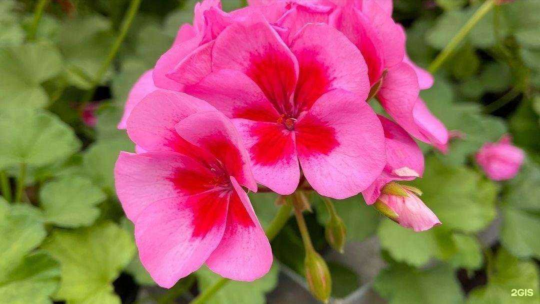 Отзывы на компанию Моя усадьба в Кемерове c фото