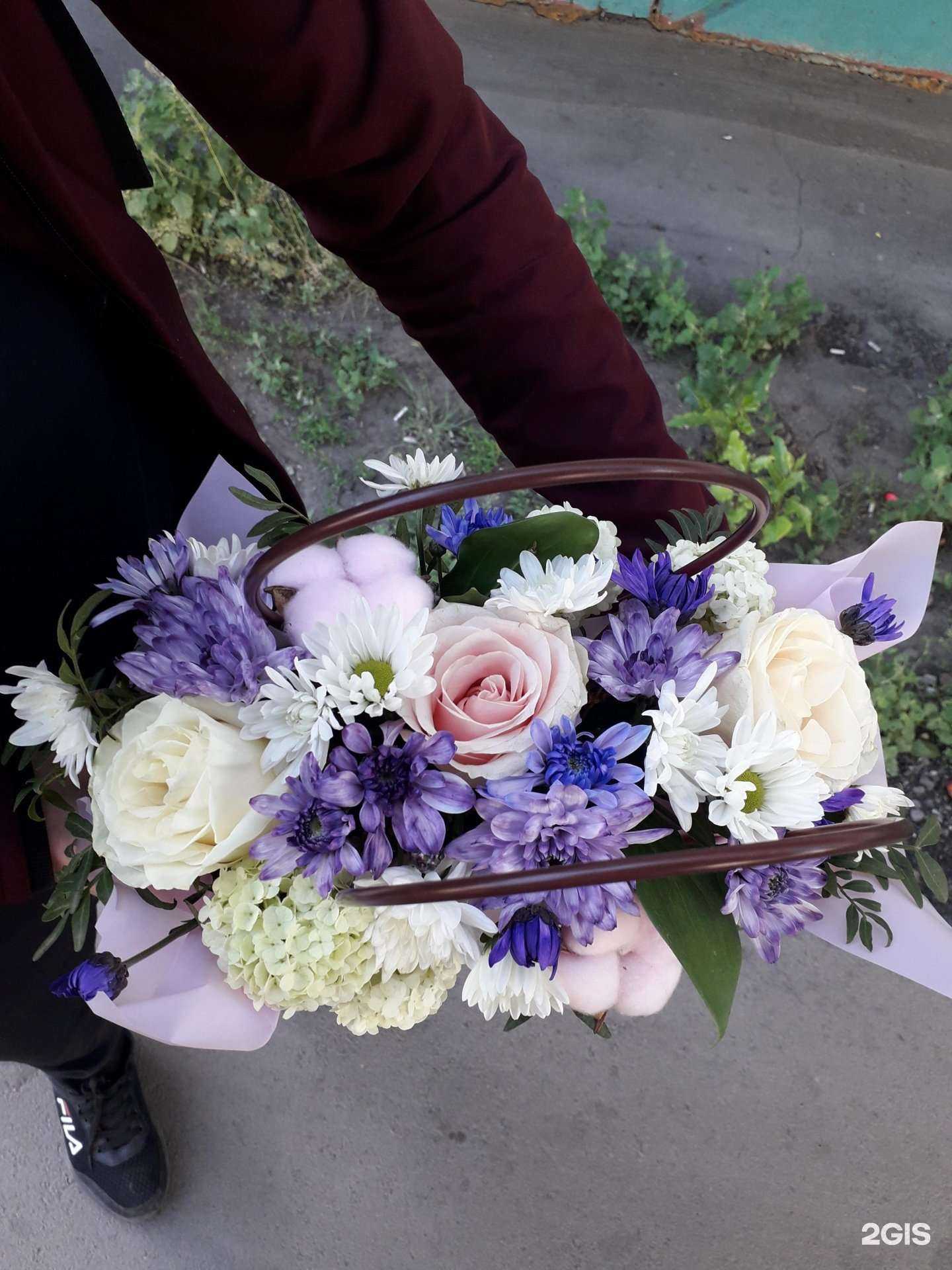 Отзывы на компанию Лейка в г. Омск c фото