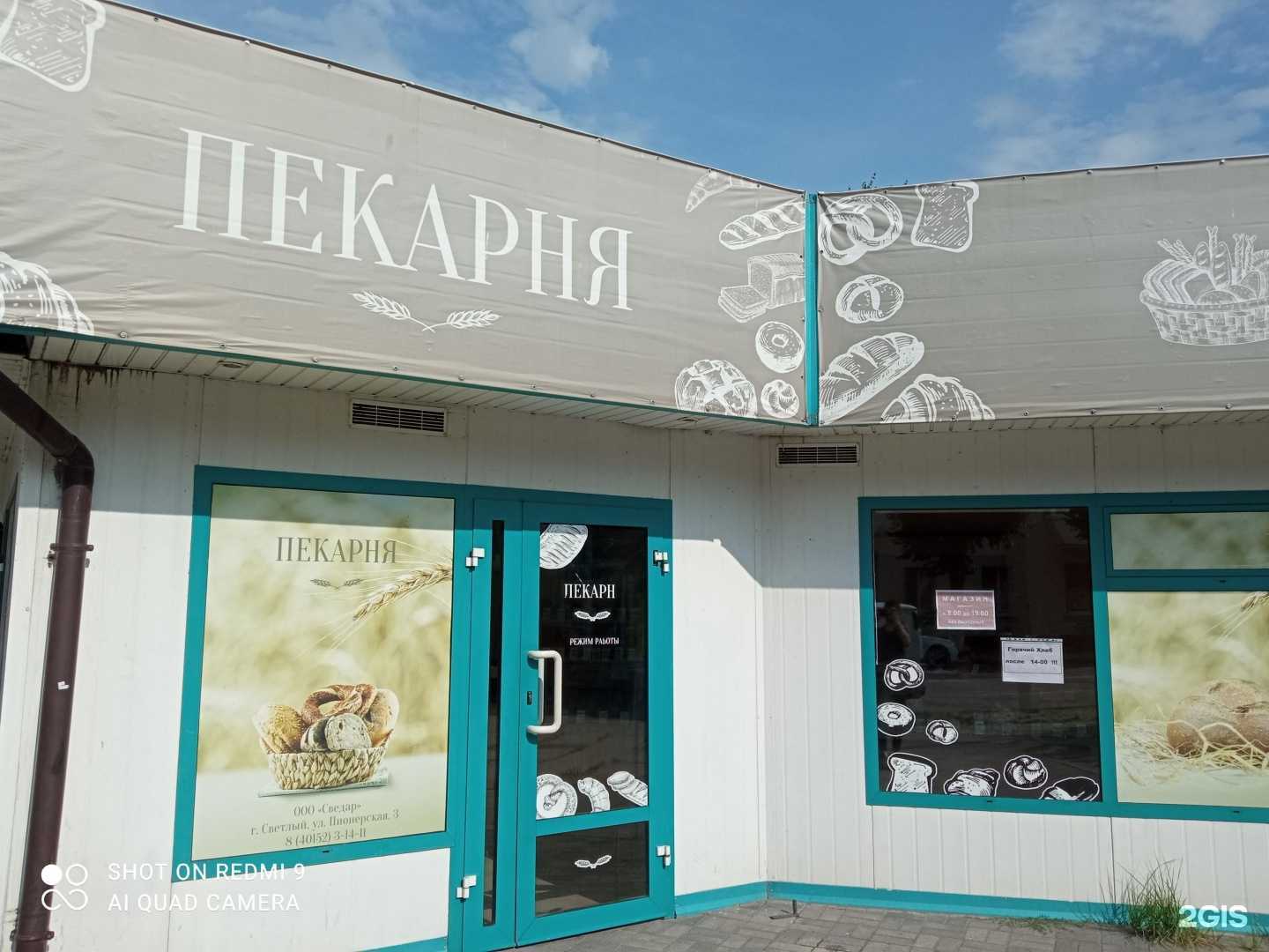 Отзывы на компанию Сведар в Светлом c фото