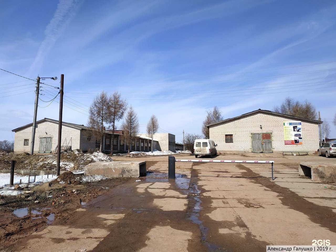 Отзывы на компанию Nordex в Кирове c фото