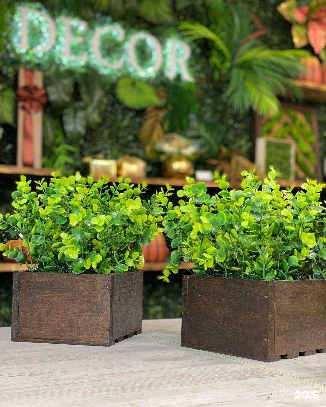 Отзывы на компанию Decor в г. Пенза c фото