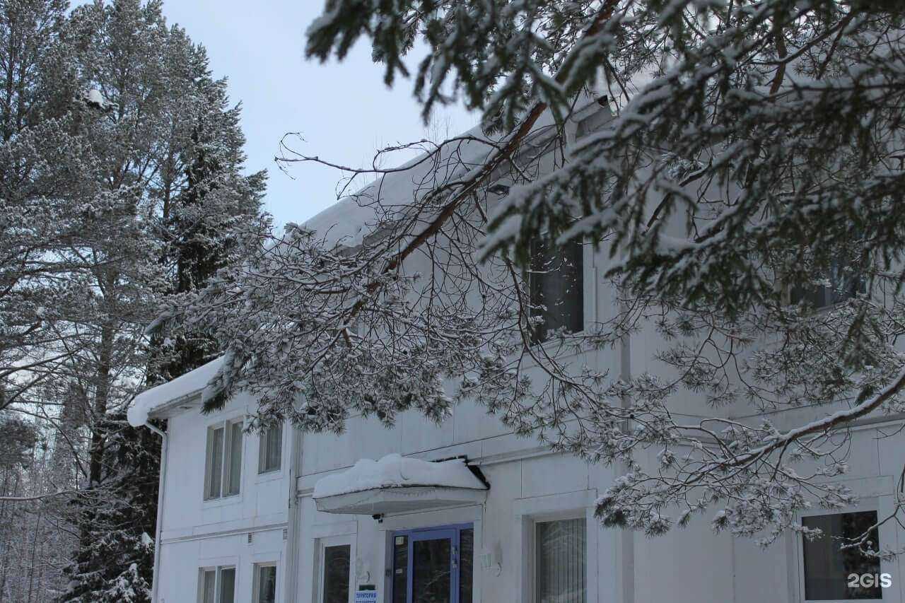 Отзывы на компанию Чистая жизнь в Перми c фото