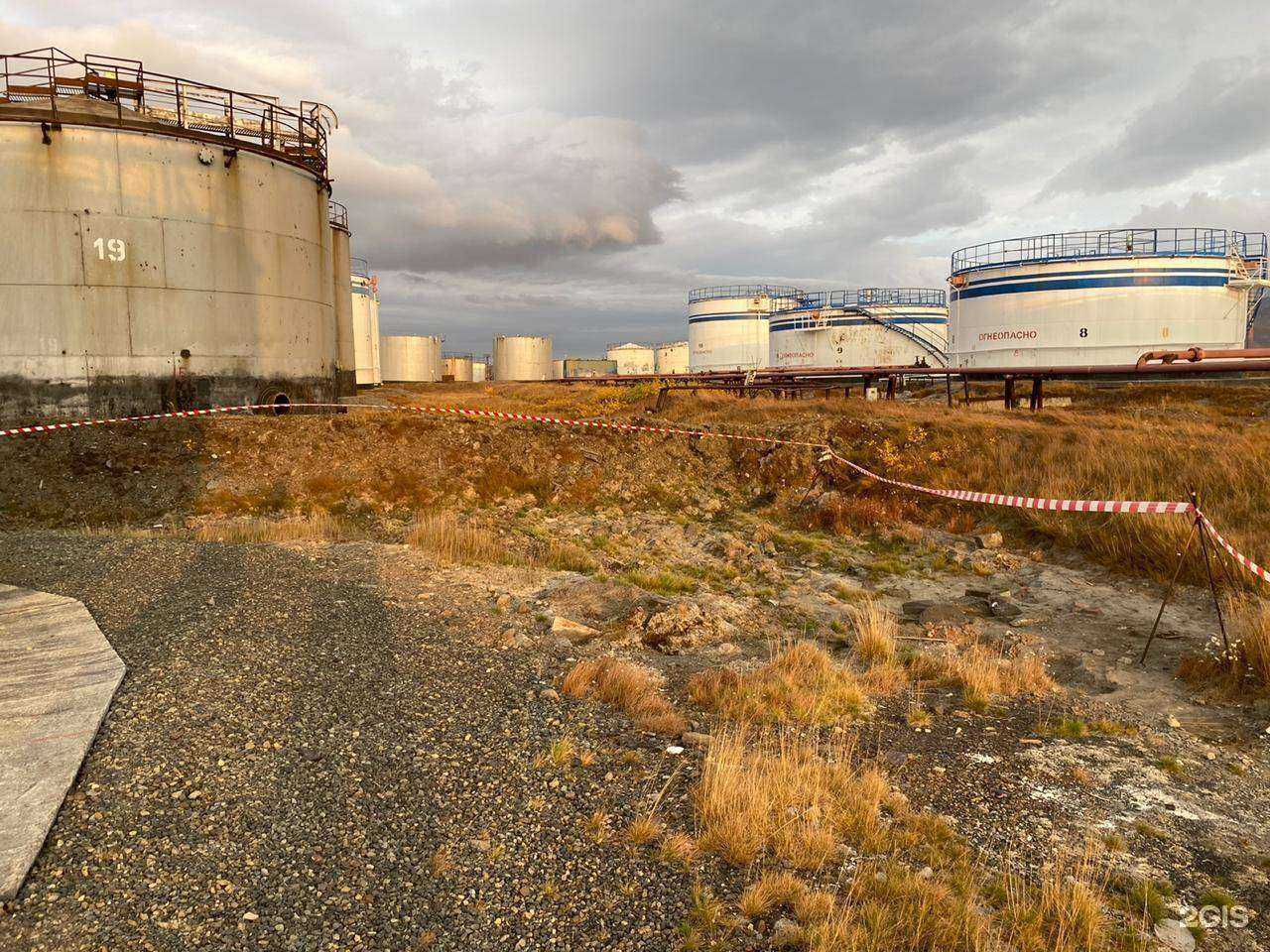 Отзывы на компанию Вершина в г. Новосибирск c фото