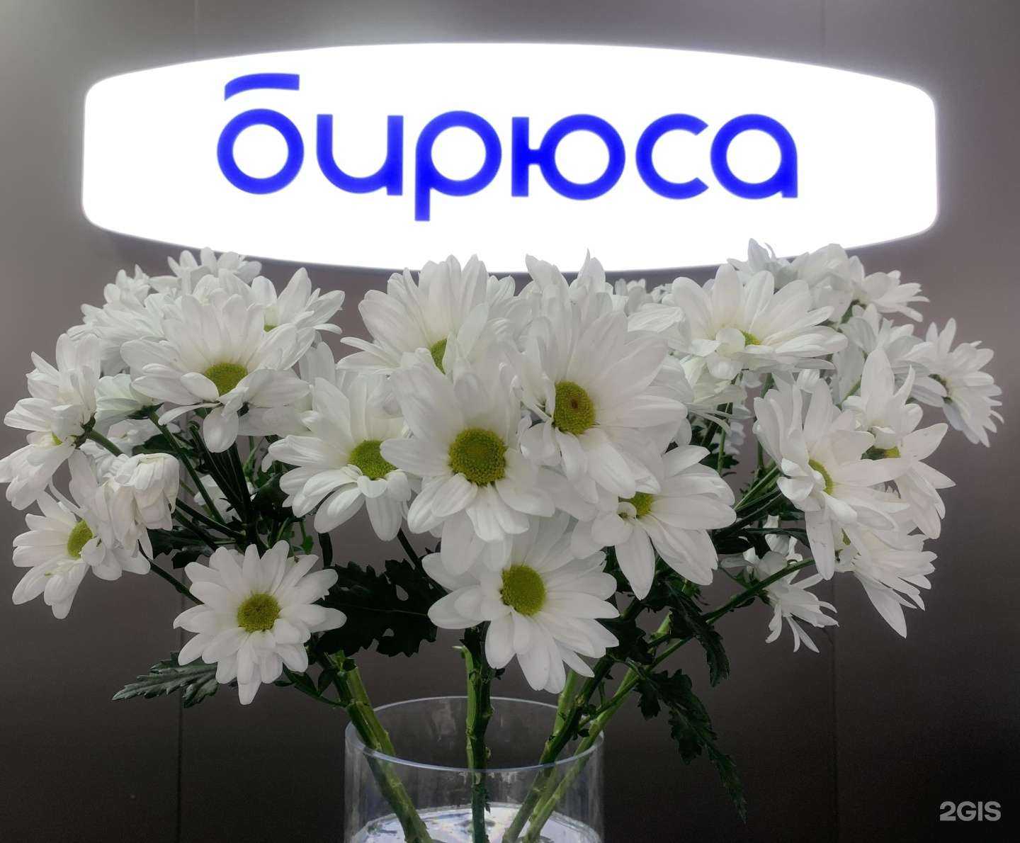 Отзывы на компанию Бирюса в г. Красноярск c фото