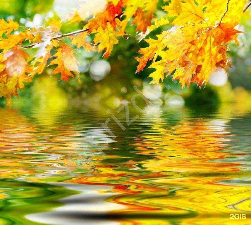 Отзывы на компанию Детский сад №89 в Иванове c фото