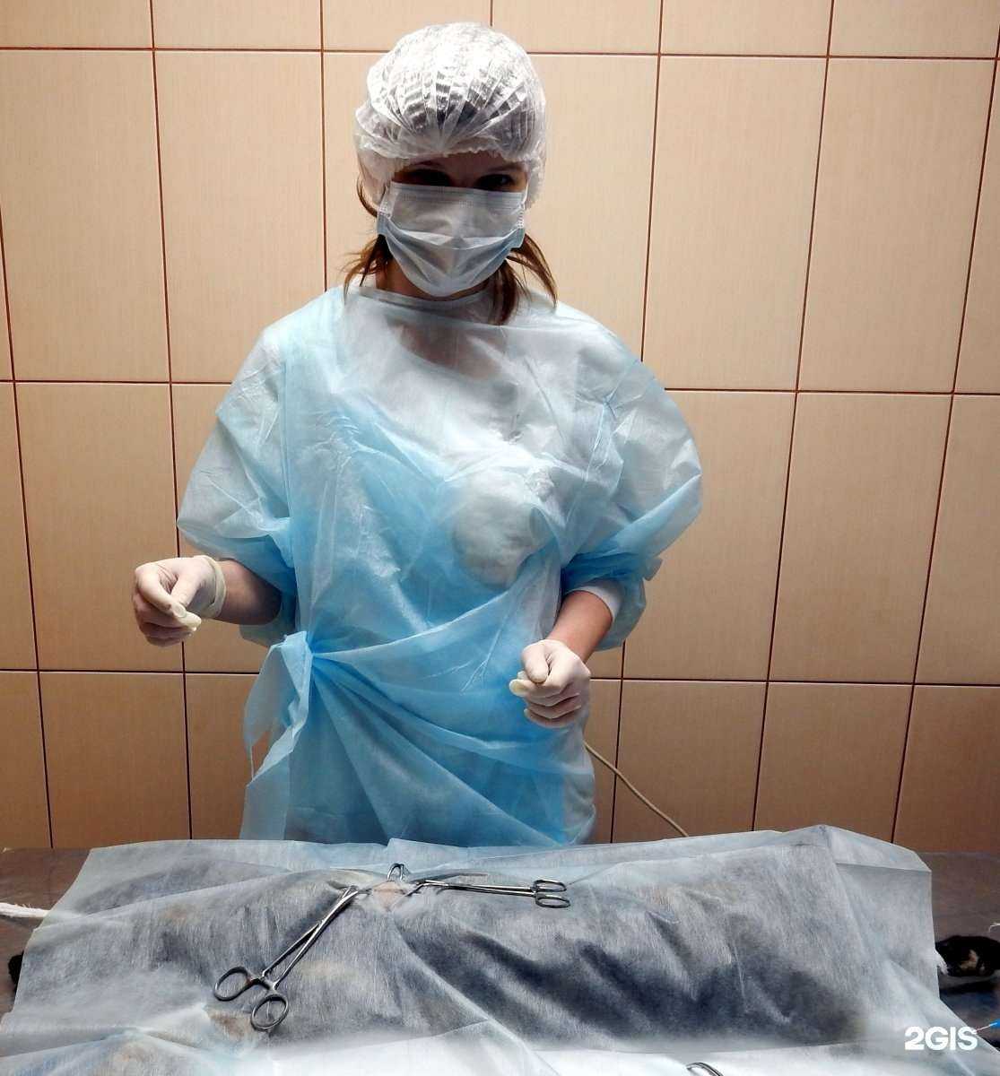 Отзывы на компанию Хомячок в г. Новочеркасск c фото