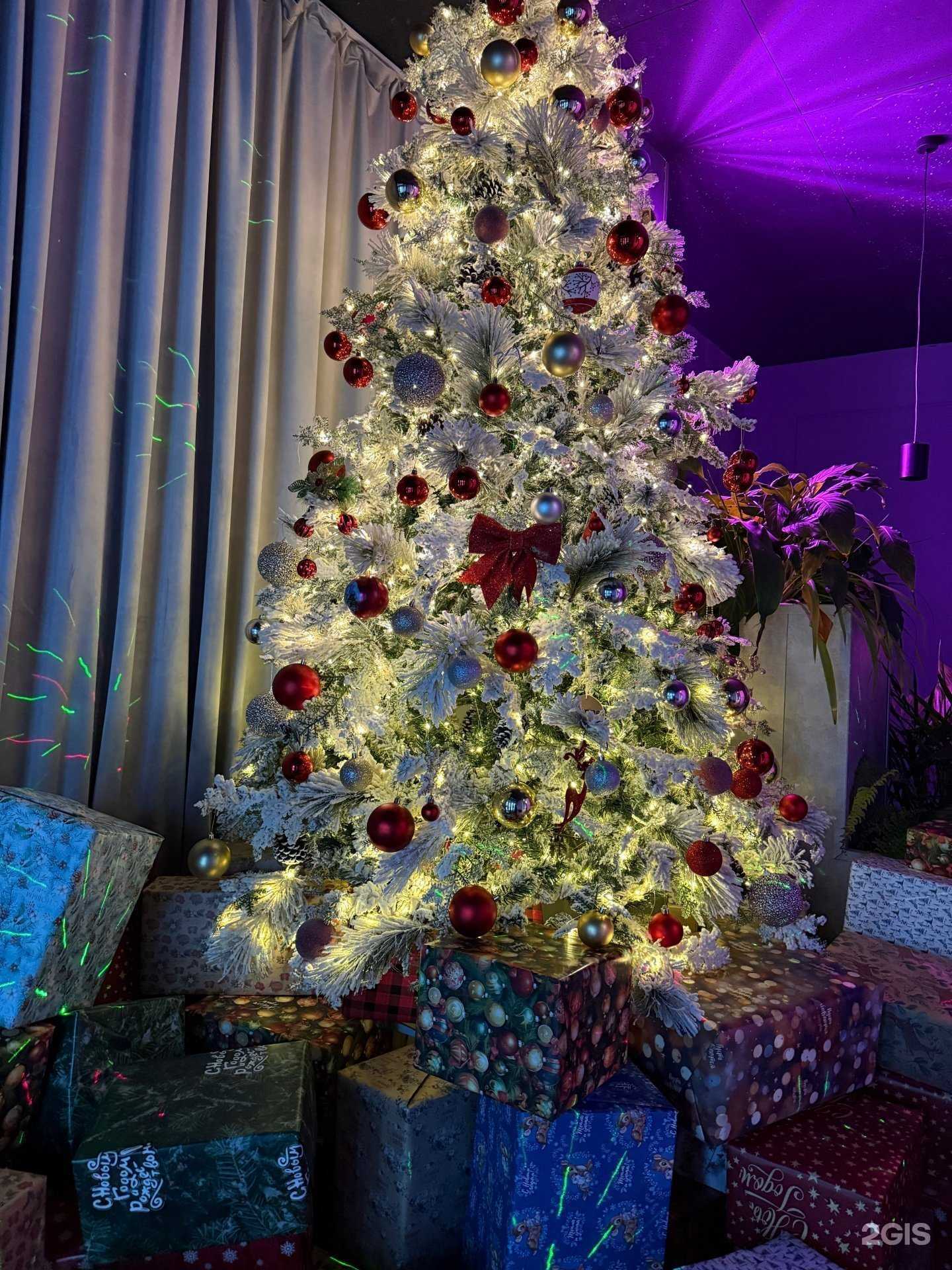 Отзывы на компанию Filippe в Тюмени c фото