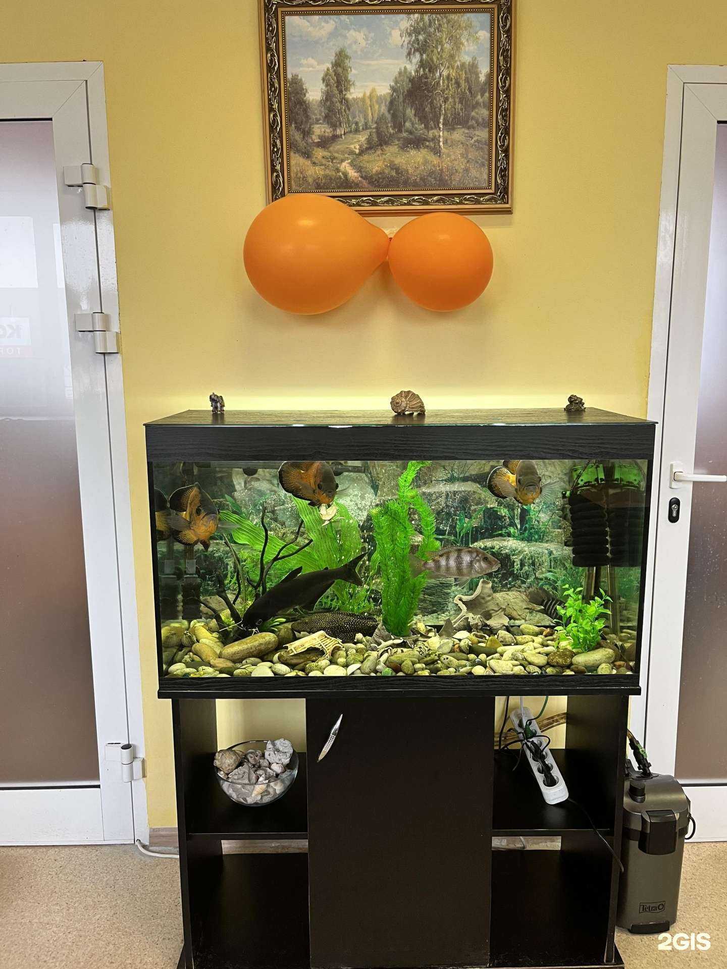 Отзывы на компанию ККМ 68 в г. Тамбов c фото