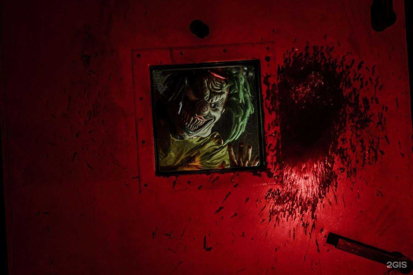 Отзывы на компанию Quest X в г. Ростов-на-Дону c фото