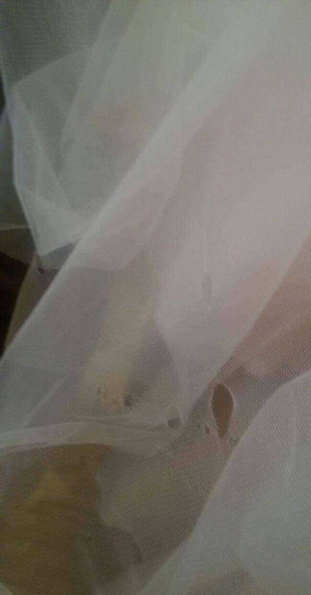 Отзывы на компанию PrimaVera в г. Ставрополь c фото