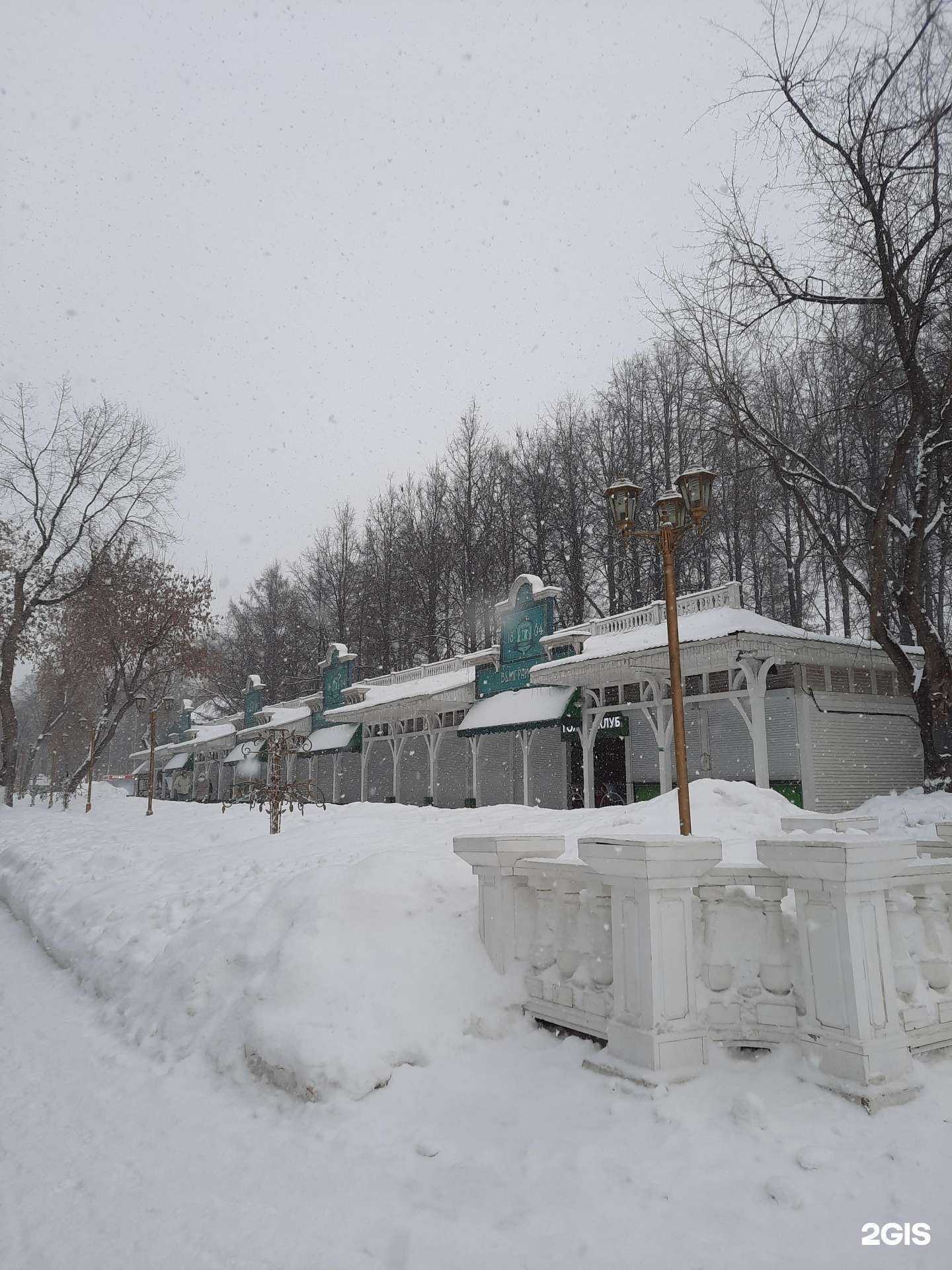 Отзывы на компанию Веселые лягушки в Перми c фото - фотография 2 из 2