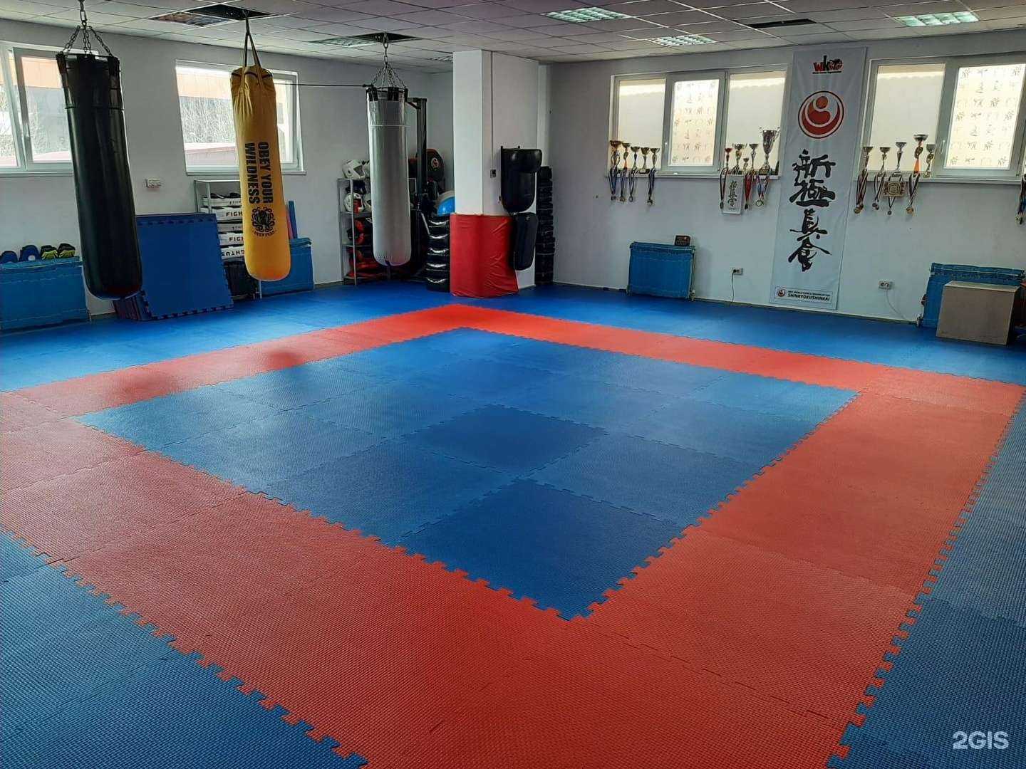 Отзывы на компанию Южная Федерация Киокусинкай каратэ в Сочи c фото