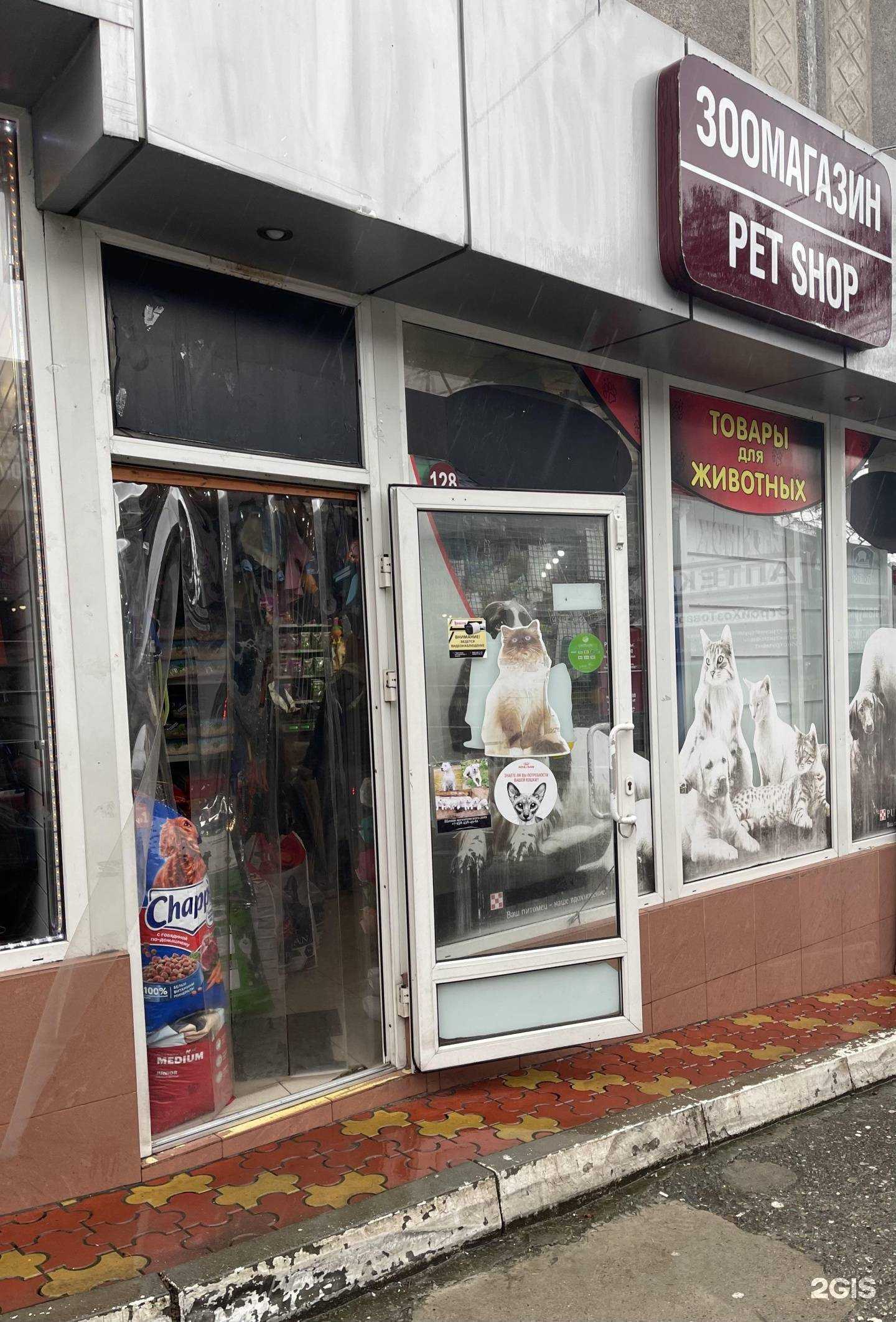 Отзывы на компанию Моська в Сочи c фото