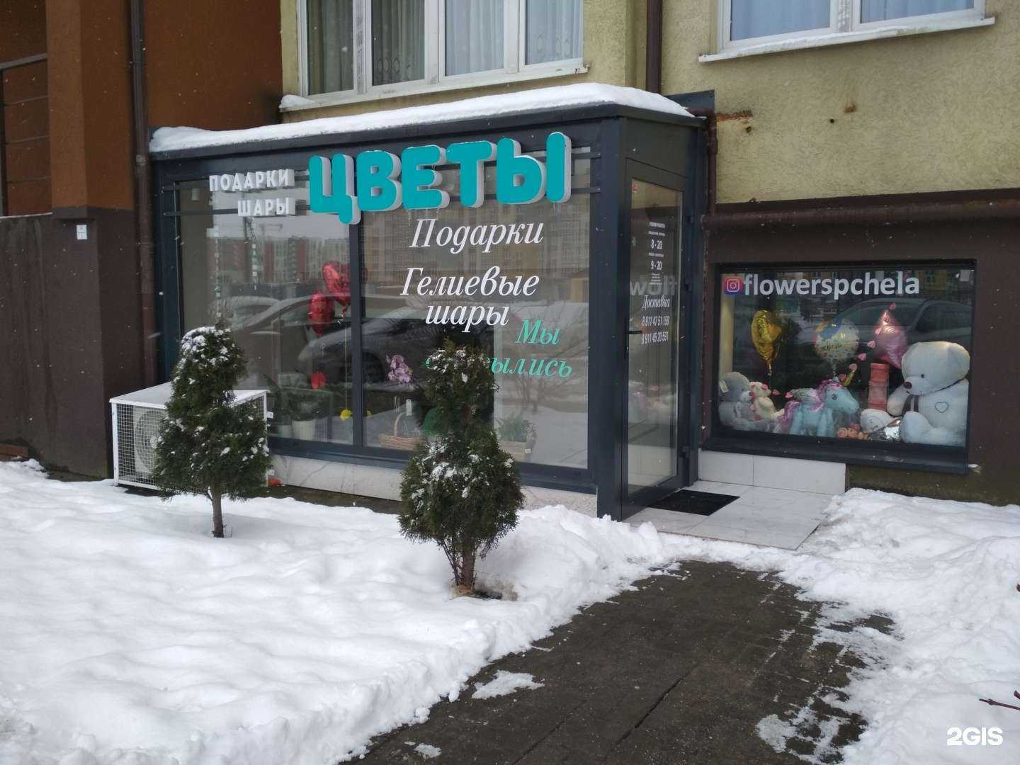 Отзывы на компанию Пчела в г. Калининград c фото