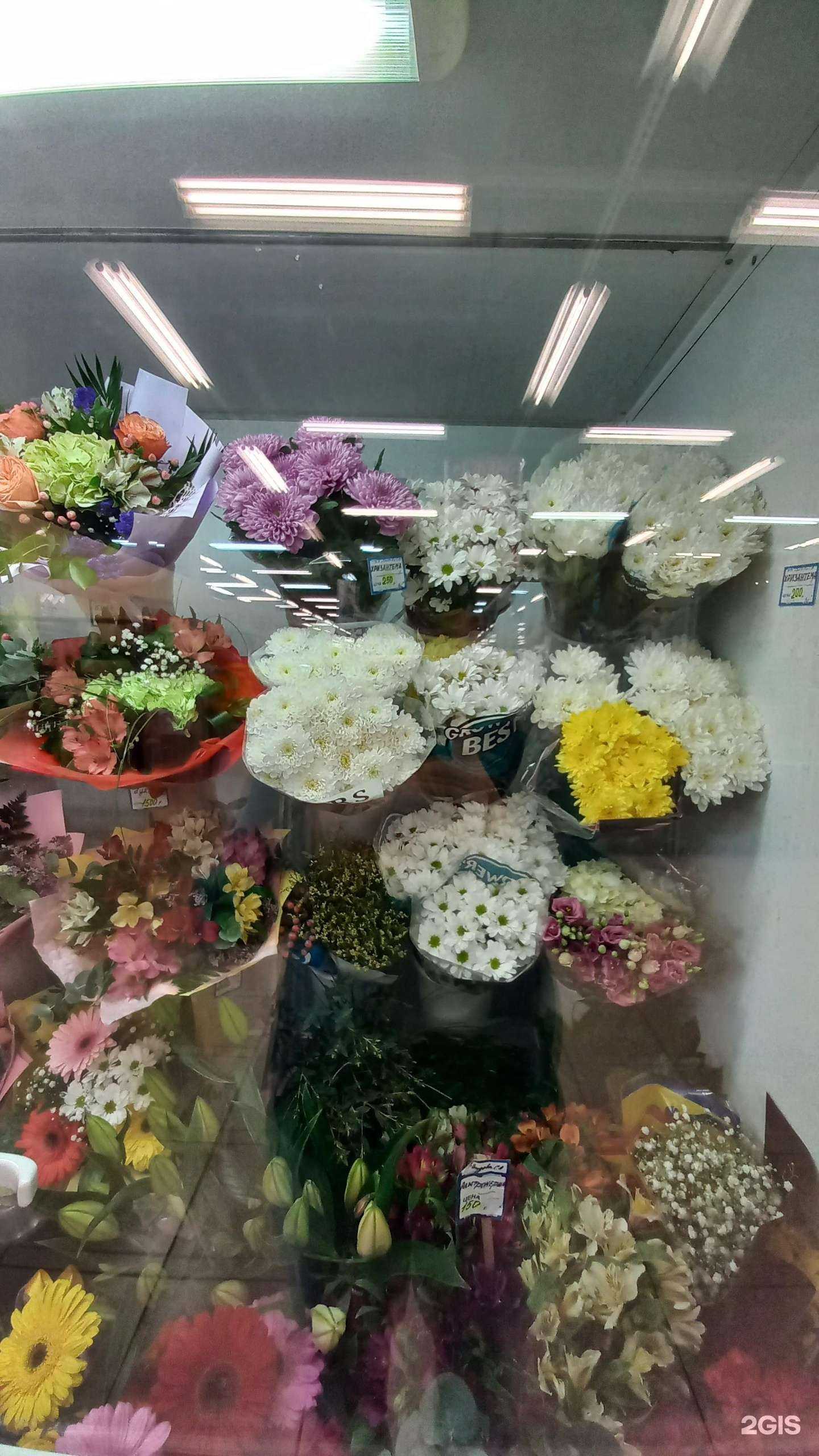 Отзывы на компанию Магазин цветов в Тольятти c фото