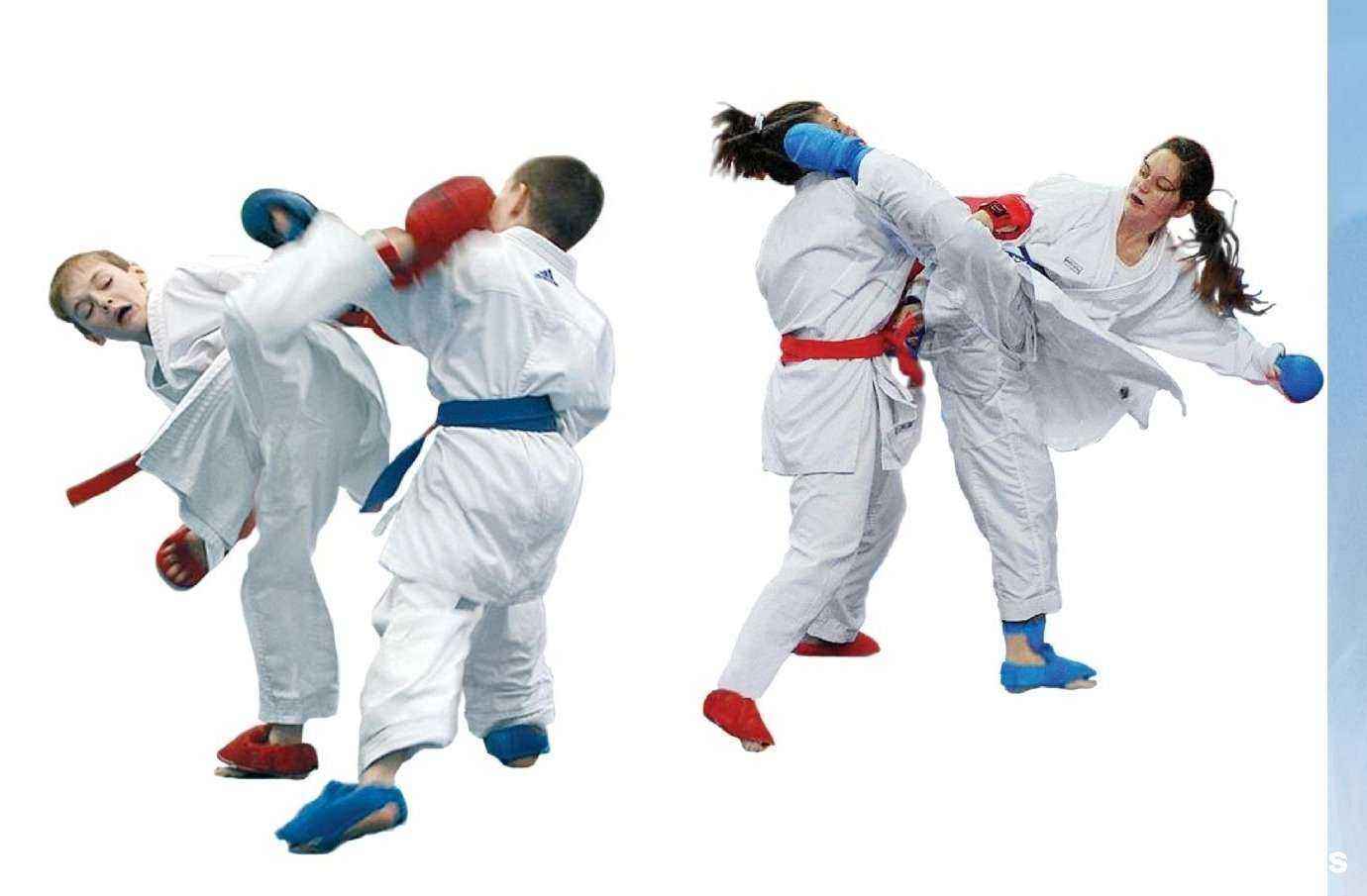 Отзывы на компанию Школа кумитэ в Нижнем Новгороде c фото