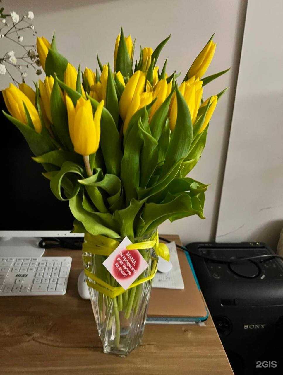 Отзывы на компанию Апрель в Сургуте c фото