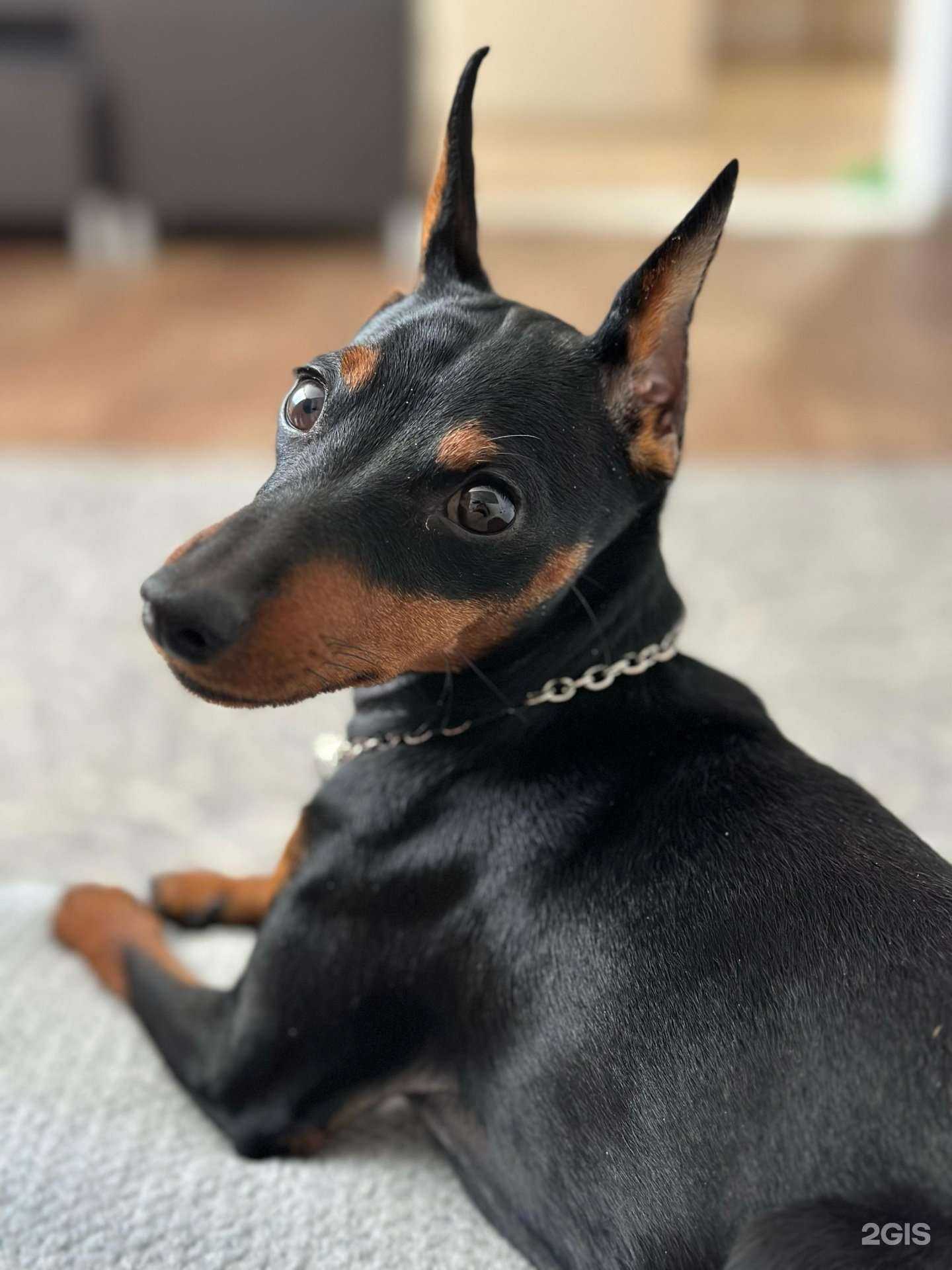 Отзывы на компанию ЕВРОВЕТ в Уфе c фото