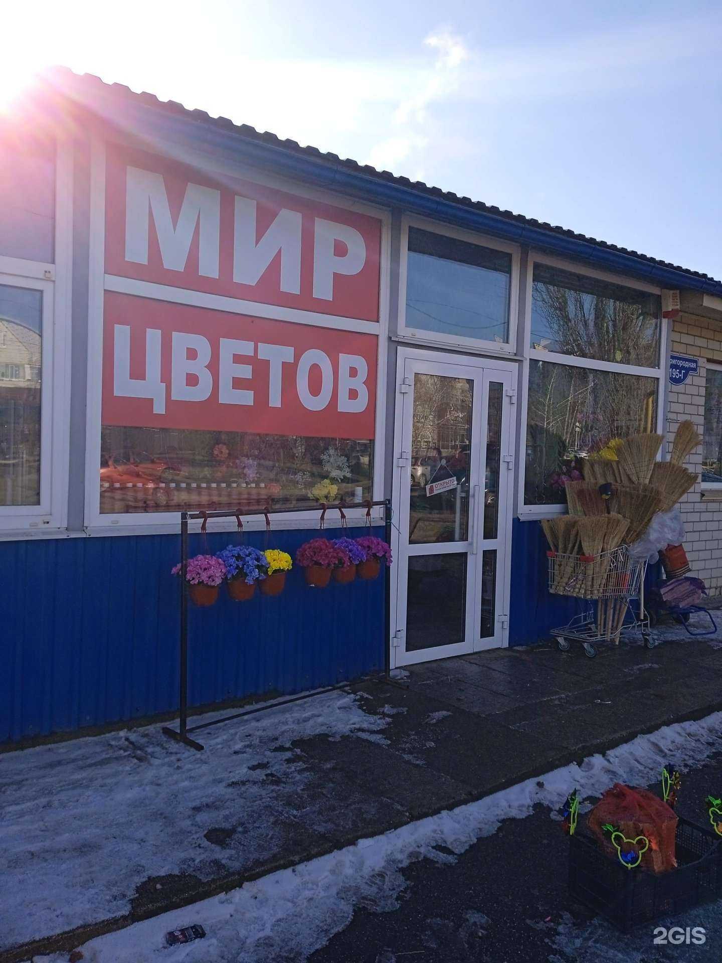 Отзывы на компанию Мир цветов в Ставрополе c фото