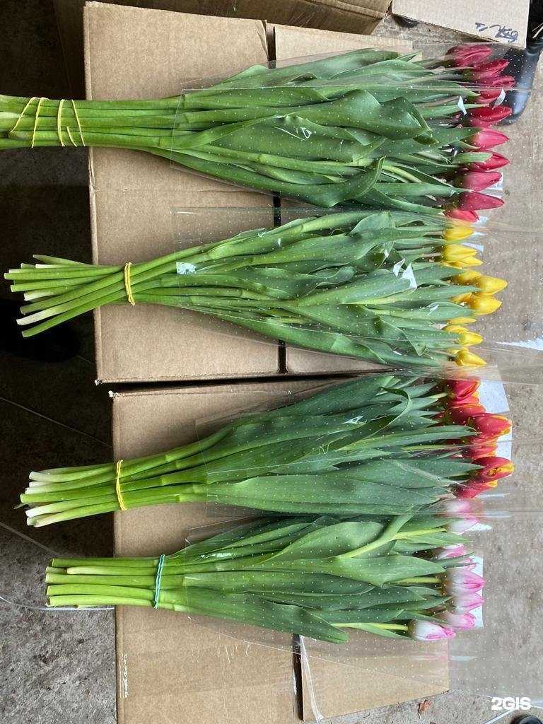 Отзывы на компанию Цветомат в г. Владивосток c фото