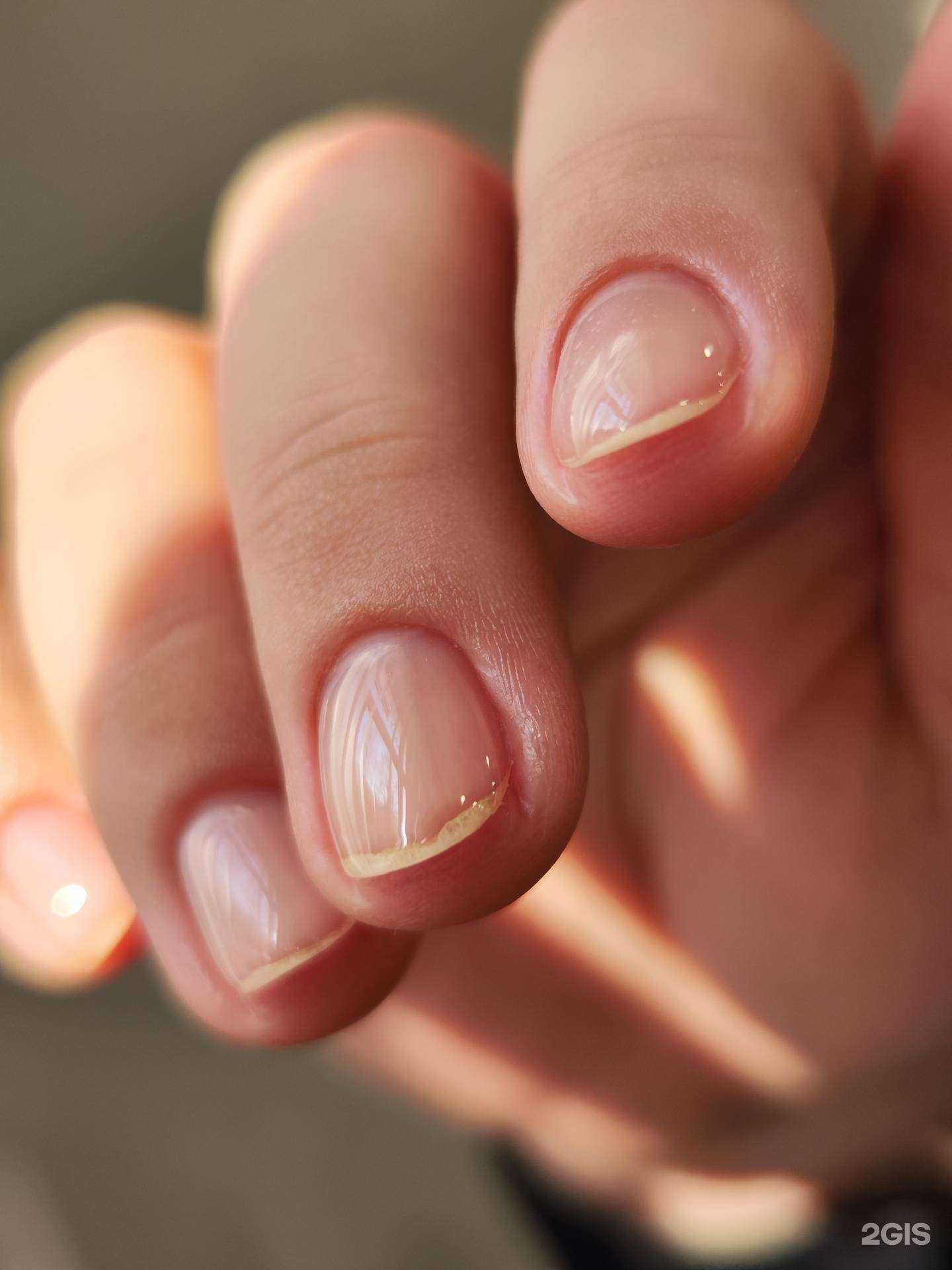 Отзывы на компанию KrisCare в Кемерове c фото