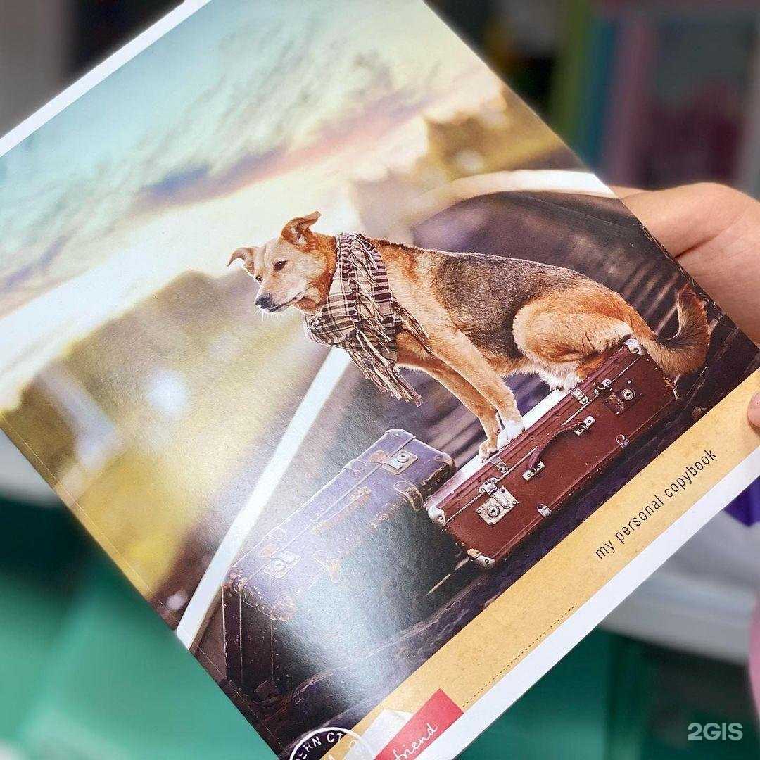 Отзывы на компанию Скрепка 52 в г. Бор c фото