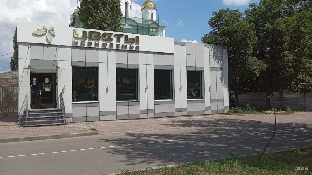 Отзывы на компанию Цветы Черноземья в г. Курск c фото