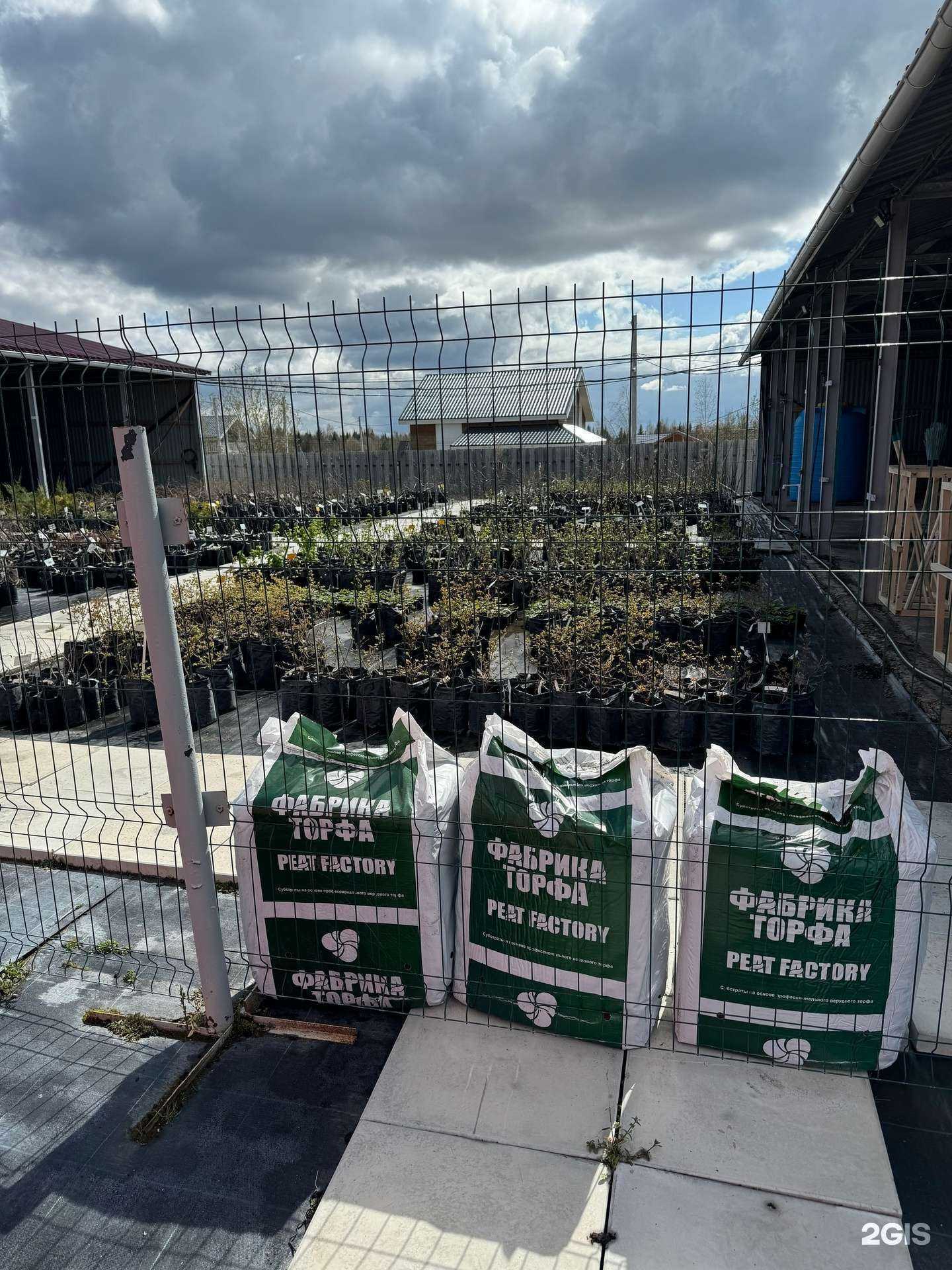 Отзывы на компанию Савинский в г. Пермь c фото