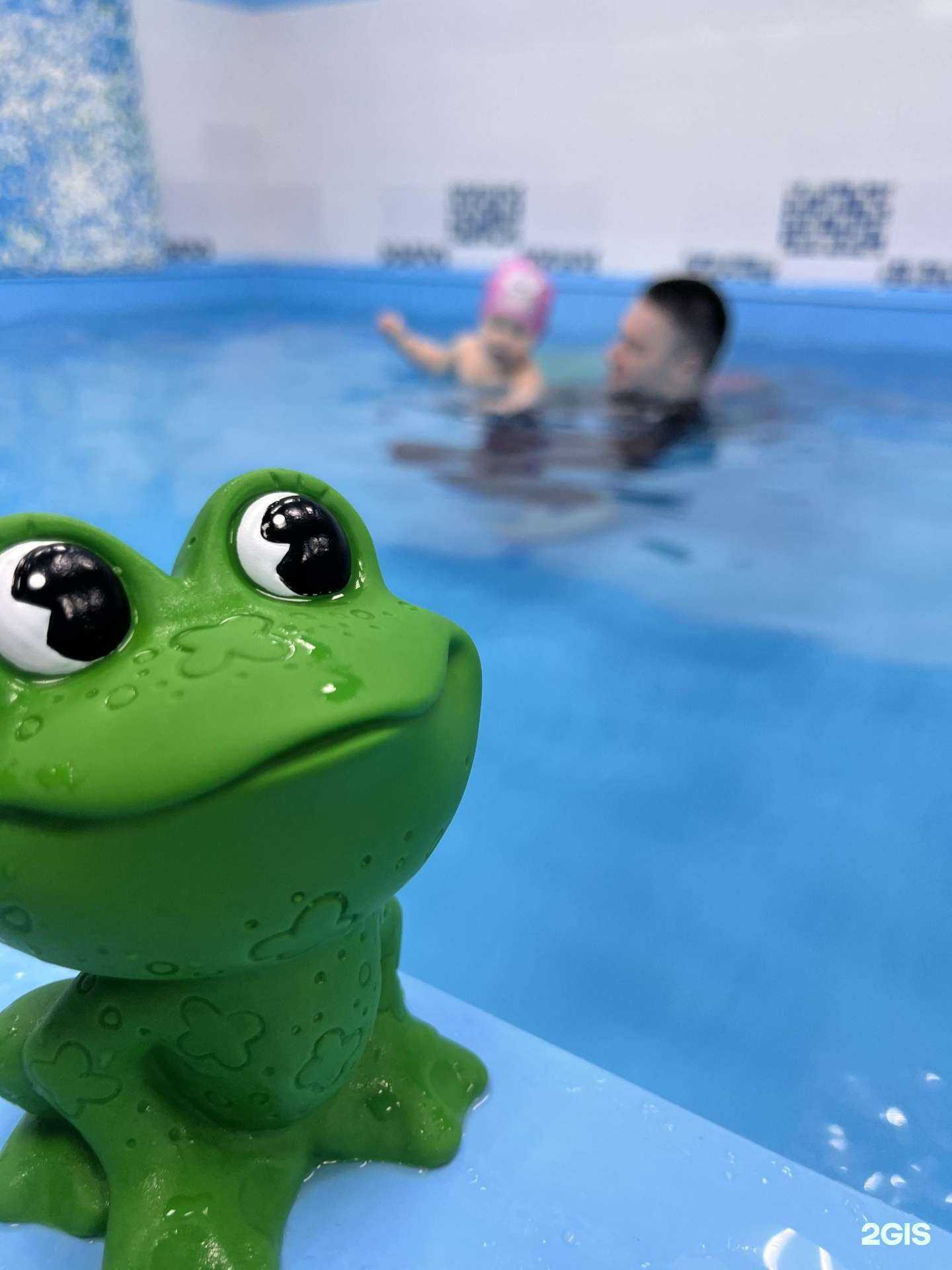 Отзывы на компанию Золотая рыбка в г. Казань c фото